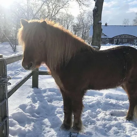 F-1081 Pfarrhof In Garz * Garz (Rugen)