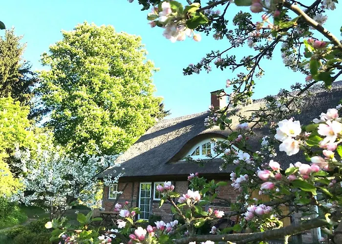 F-1081 Pfarrhof In Garz Lägenhet