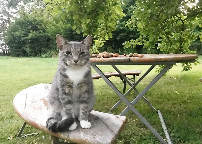 F-1081 Pfarrhof In Garz Lägenhet Garz (Rugen)