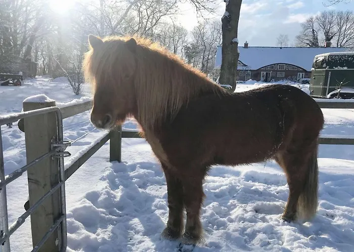 F-1081 Pfarrhof In Garz * Garz (Rugen)